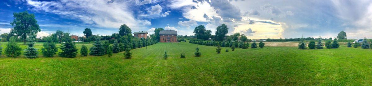 Pensjonat angloAGROTURYSTYKA Roztocze – Warsztaty języka angielskiego